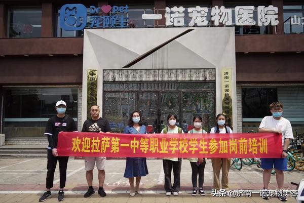 考宠物美容师证需要哪些条件呢,宠物美容师资格证哪个含金量高