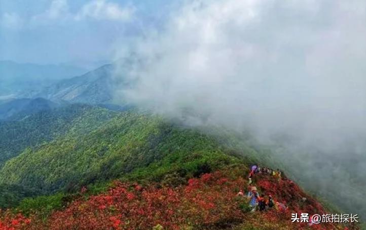 广州从化太平最高的山,从化最著名四座山峰