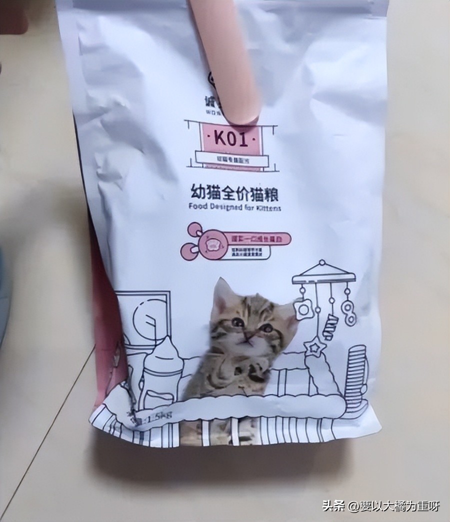 养胃猫粮幼猫,养胃幼猫粮推荐性价比高的