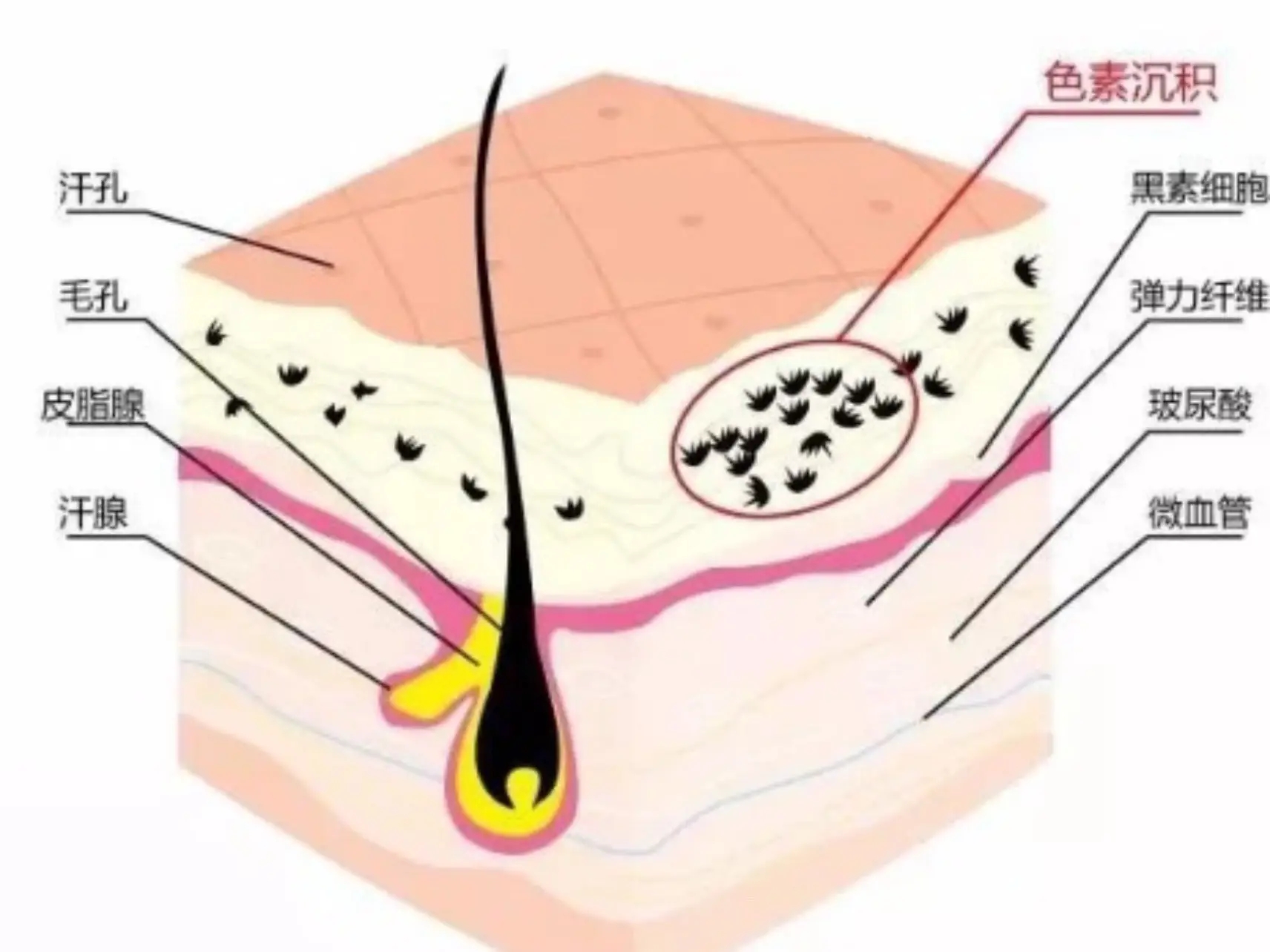 用了防晒之后怎么感觉变黑了,夏季防晒黑科技装备