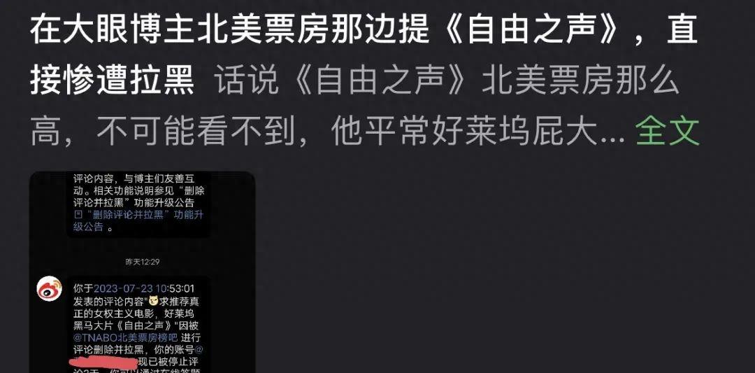 真相终极揭秘,全球丑闻大揭秘