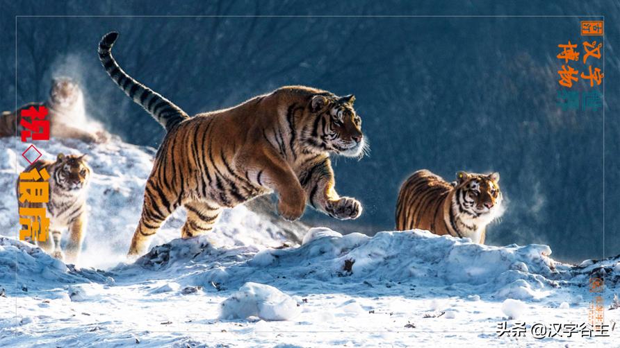 虎年带虎的成语,搜集有关虎年的成语十则