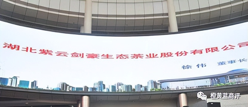 “红辰乐购”平台宣传“年入千万不是梦”？动静态模式遭质疑？