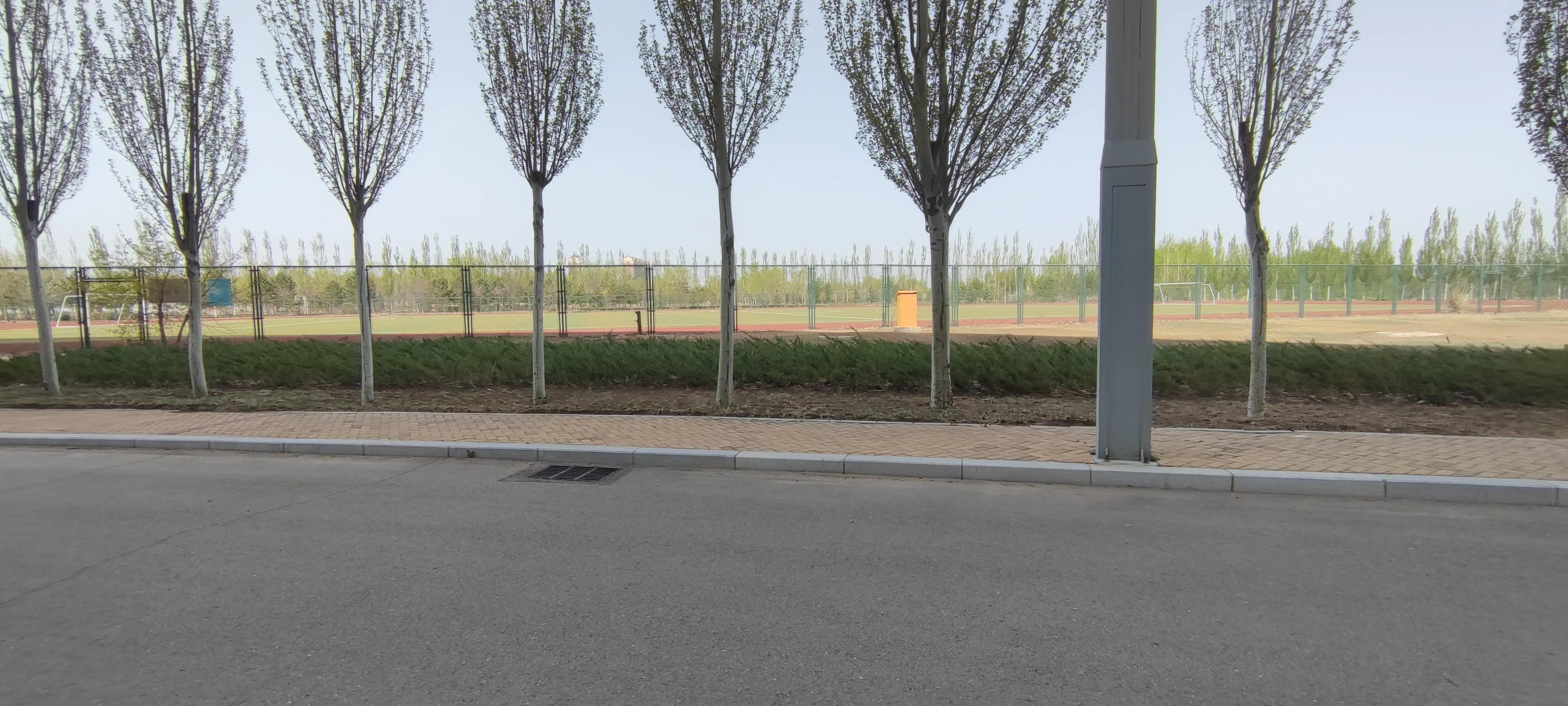 鄂尔多斯鸟巢图,准格尔旗大路新区鸟巢