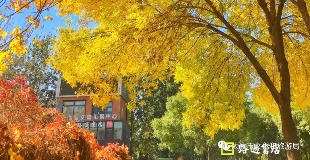 太原最美书房,太原市最大的城市书房