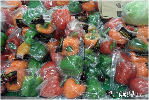 加拿大温哥华自由行,温哥华8日游攻略