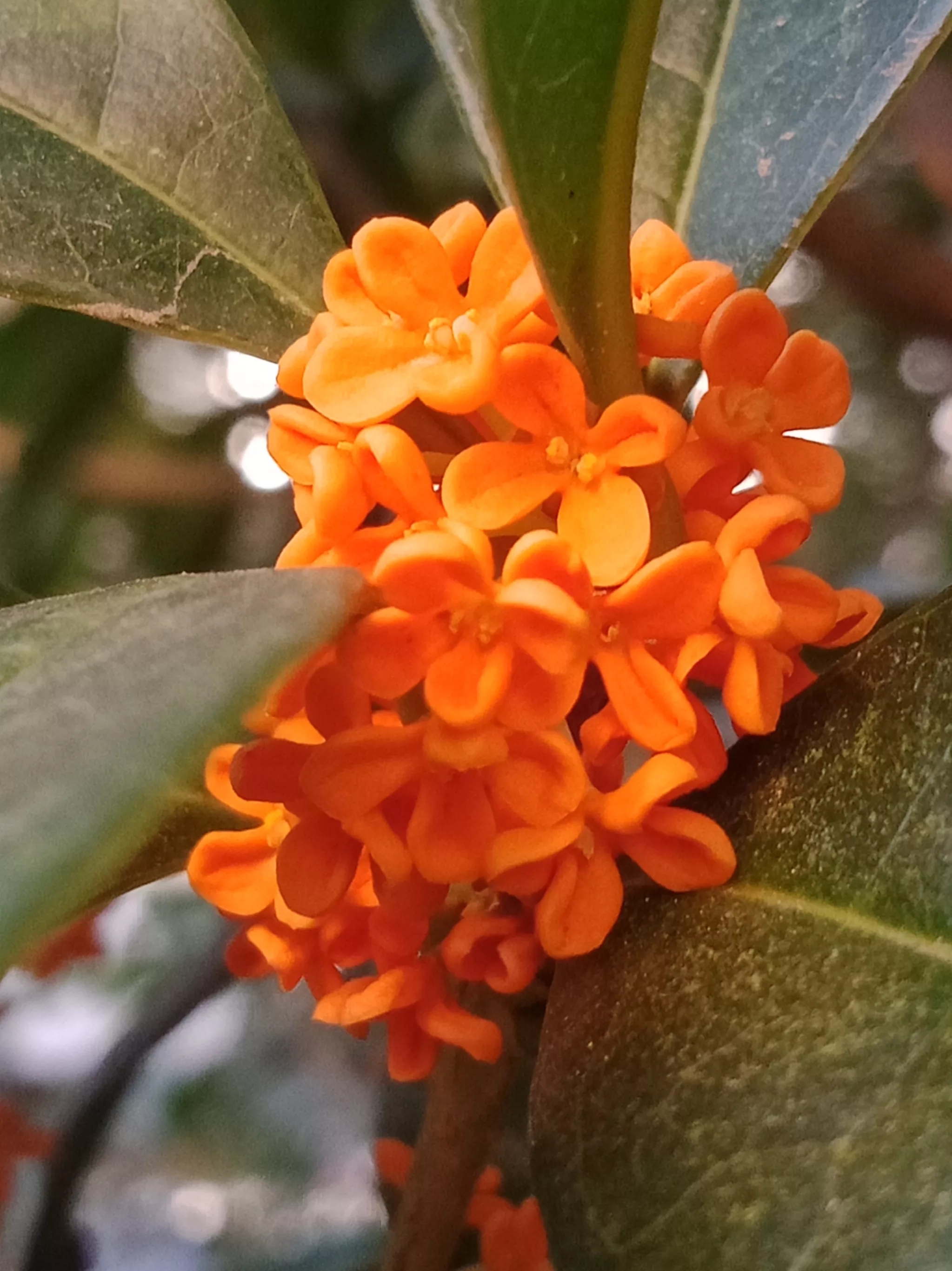 自我查摆存在问题原因及整改措施,教你快速找出问题的基本原因