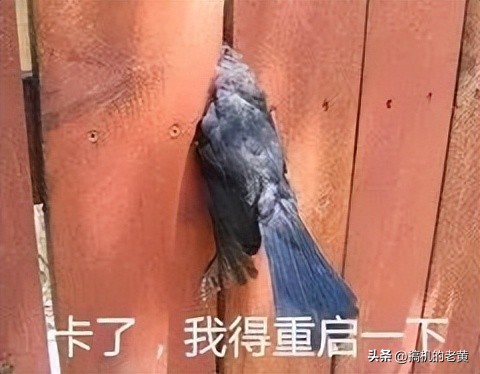 电脑频繁出现蓝屏现象是怎么回事,电脑蓝屏反复重启