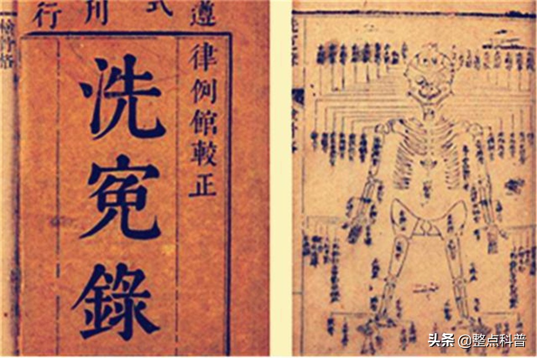 斗和簸箕的基因秘密,中科院发现斗与簸箕的奥秘