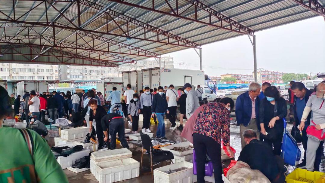 秦皇岛开海海鲜图片,开海后的生猛海鲜已抵达秦皇岛