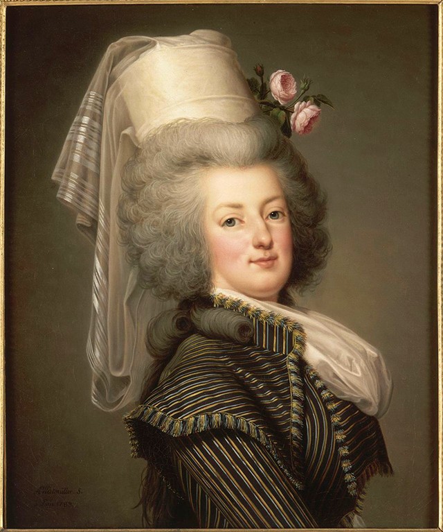 玛丽被送上断头台历史事件,玛丽王后为什么被送上断头台