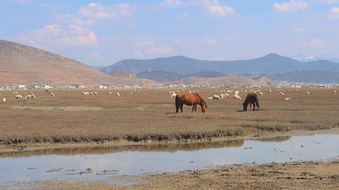自媒体赚钱方法轻松月赚1万,能赚钱的16个自媒体