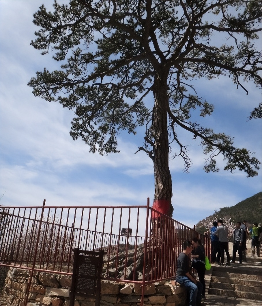 登上山西北岳恒山顶上看美景,游山西自由行攻略