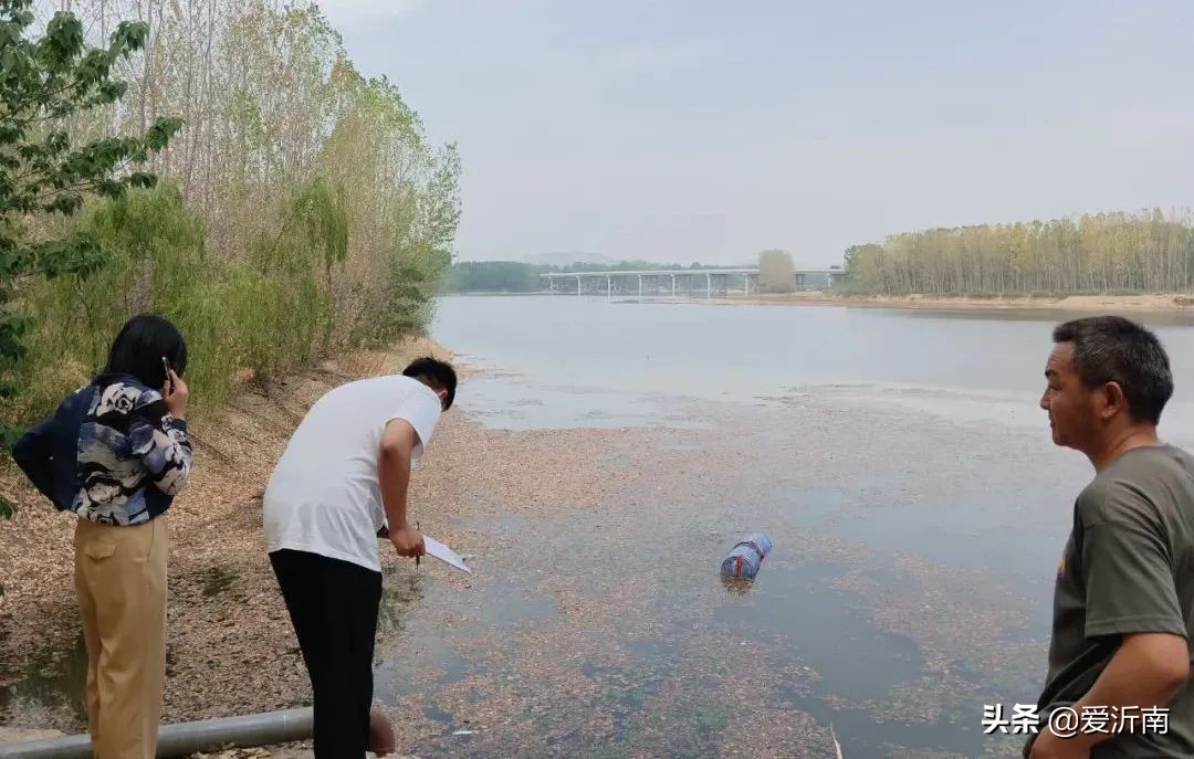 沂南铜井新闻最新消息,沂南张庄新闻最新消息