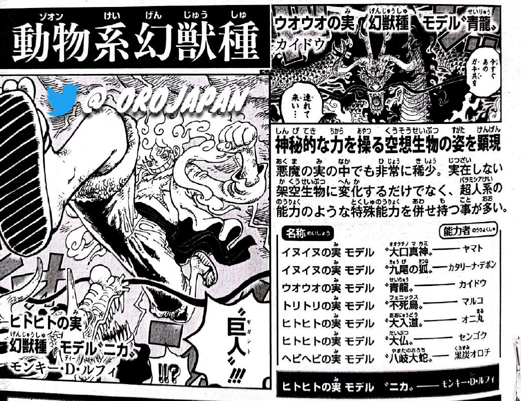 海贼王里面的情报是什么,海贼王情报红发武器