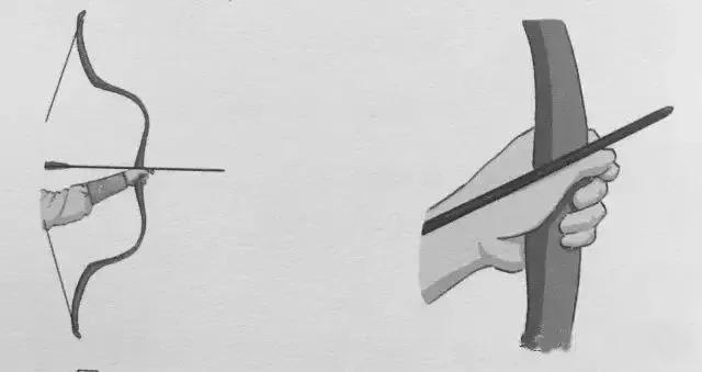 弓箭知识的视频,不同种类弓箭的握箭方式