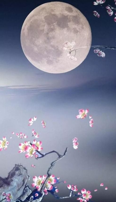 红豆诗词简介,关于红豆的一百首诗词