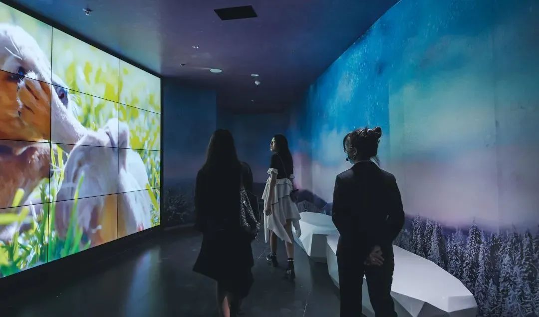 「4月必玩」科学馆上新、超级萌宠节···就在正佳！