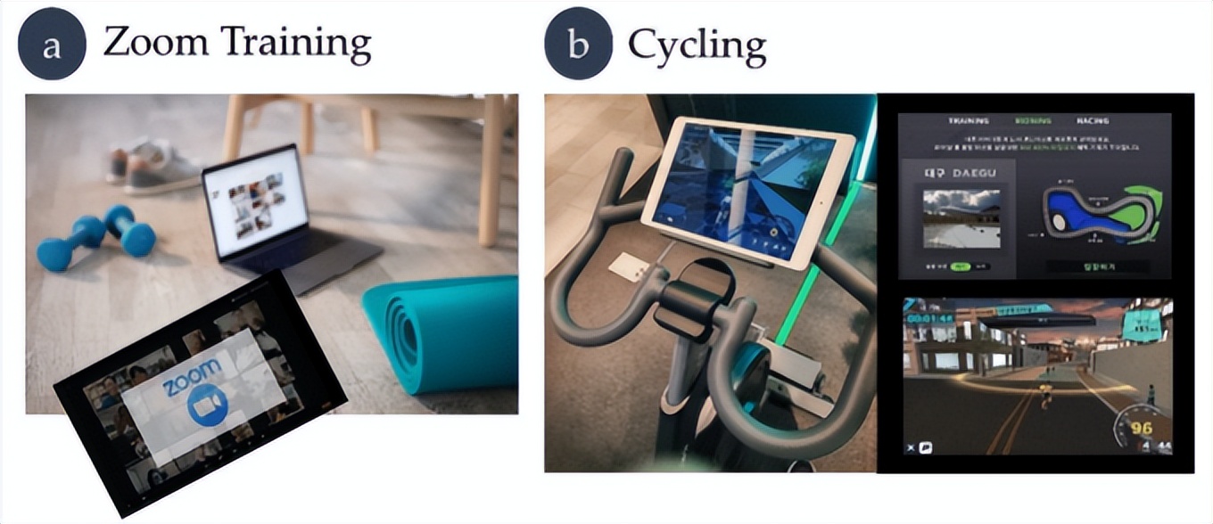 体育教育包括哪几个小的方面,体育教育的概念应该是怎样的