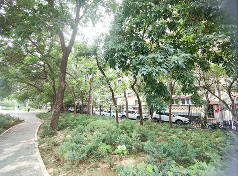 「疏整促」剧透！朝阳区这三个小微空间即将“换装”