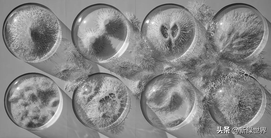 纸艺作品绘画,千变万化的纸艺术作品