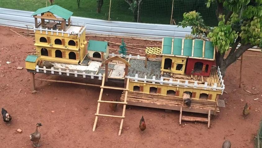 广东单身男子辛苦养娃19年，学霸儿子考上美名校为何却选择离世