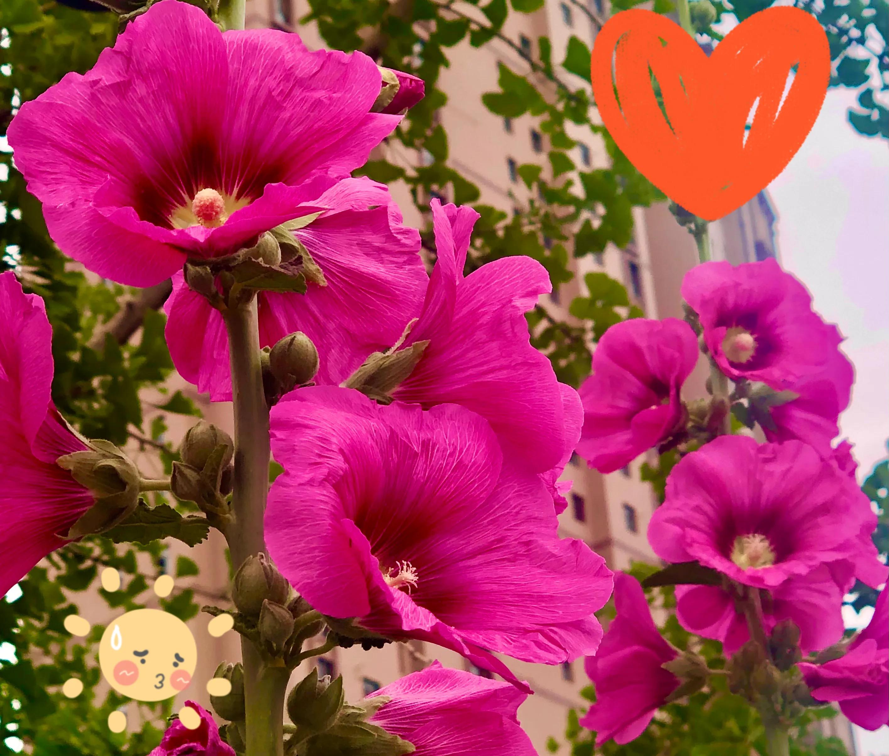 生活的极致就是化繁为简,极简是一种生活态度越简单越精致