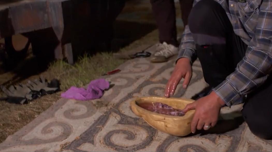 金雕击毙狼全过程,蒙古猎鹰捕狼视频