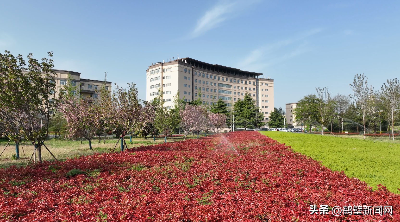 公共机构绿色低碳示范带动作用,公共机构节能减碳宣传