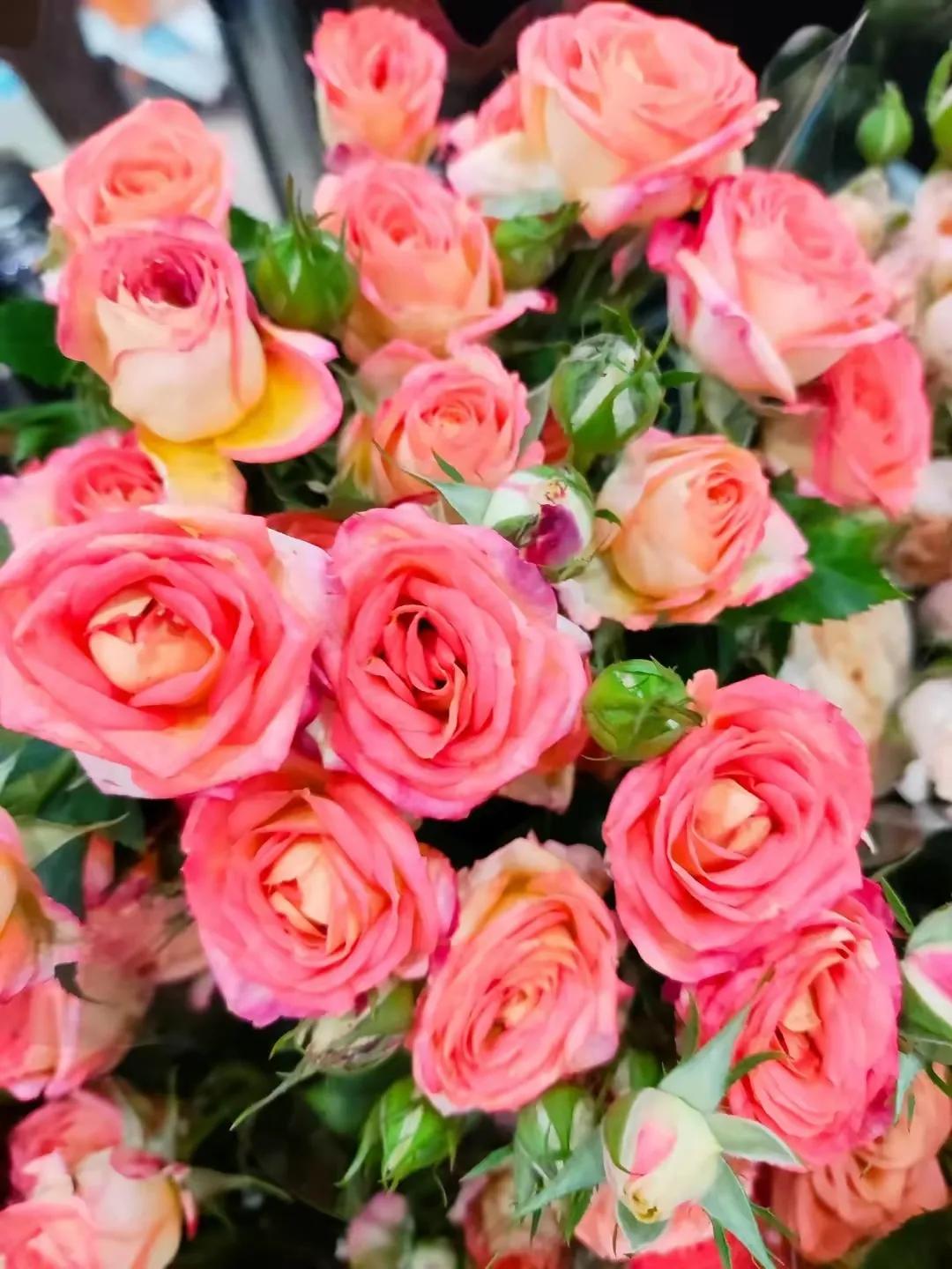 人活着就是要一种好心态才会开心,其实人活的正确方式开心就好