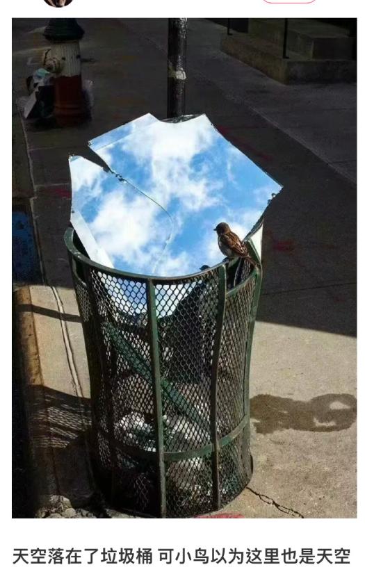 互联网有多精彩搞笑视频,早期互联网搞笑段子