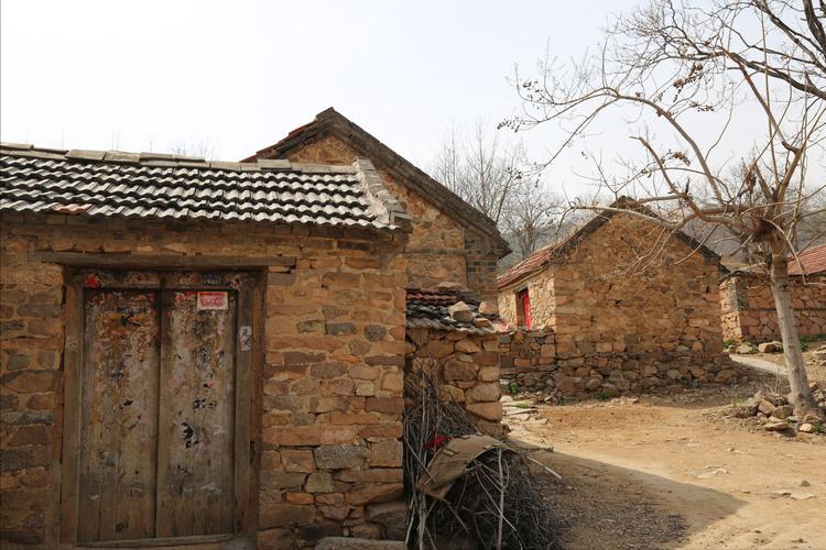 美女养毒蛇竟然成功了年赚千万,江西一男子养毒蛇