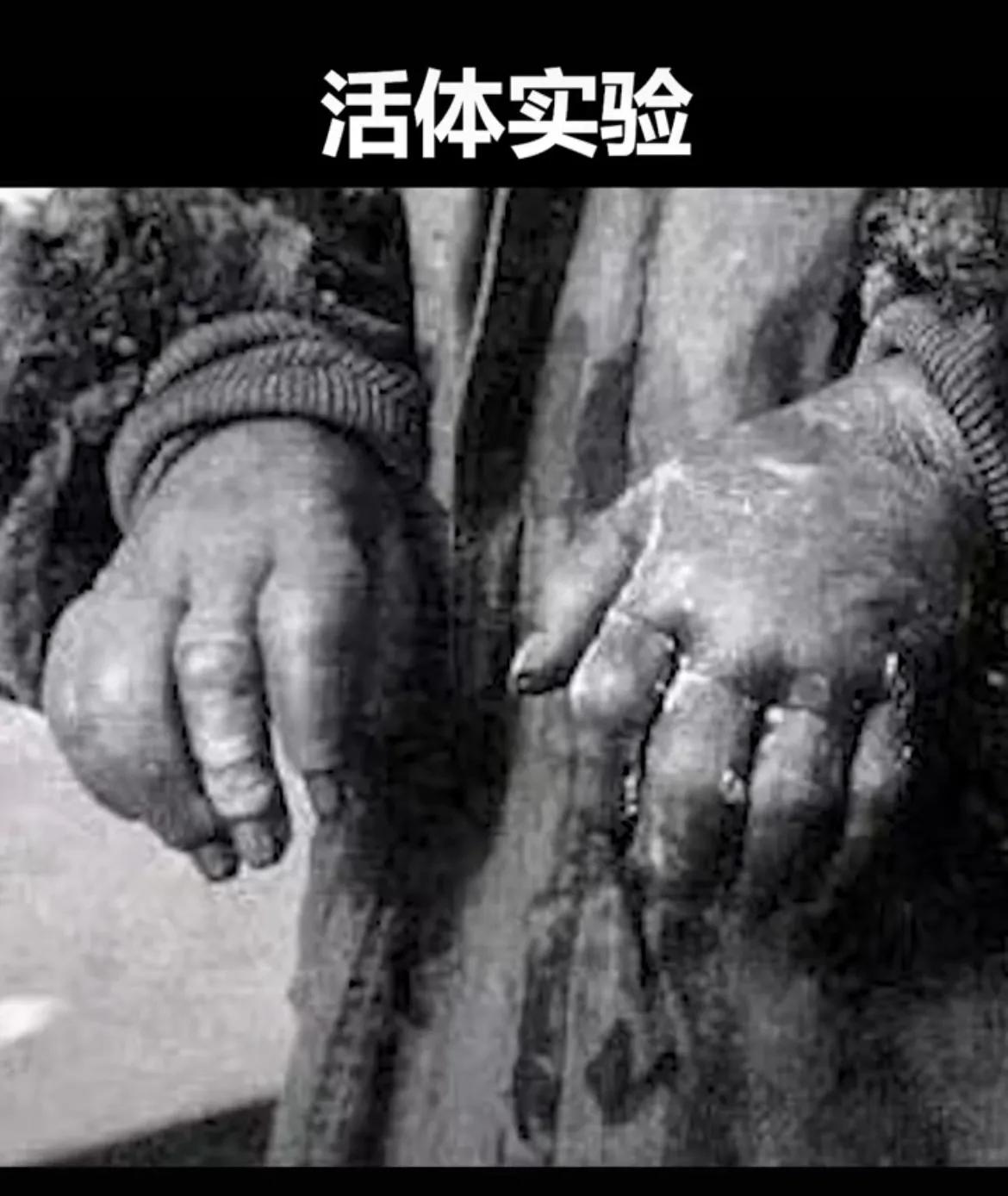 张学良和九一八事变有什么关系,反法西斯和九一八事变关系