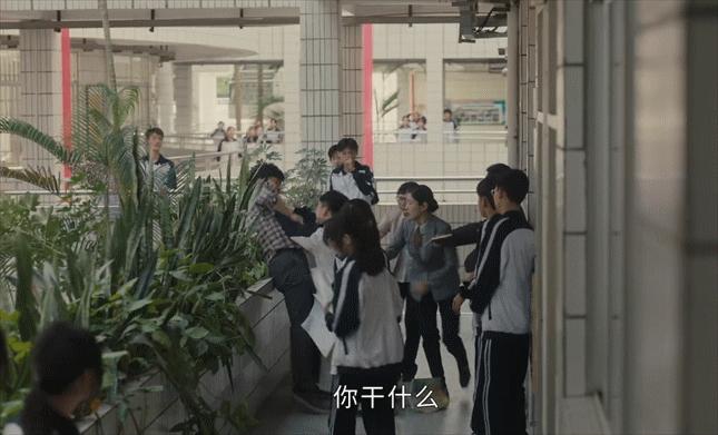 央视播出的关于高考的的剧,央视推荐的高考电视剧