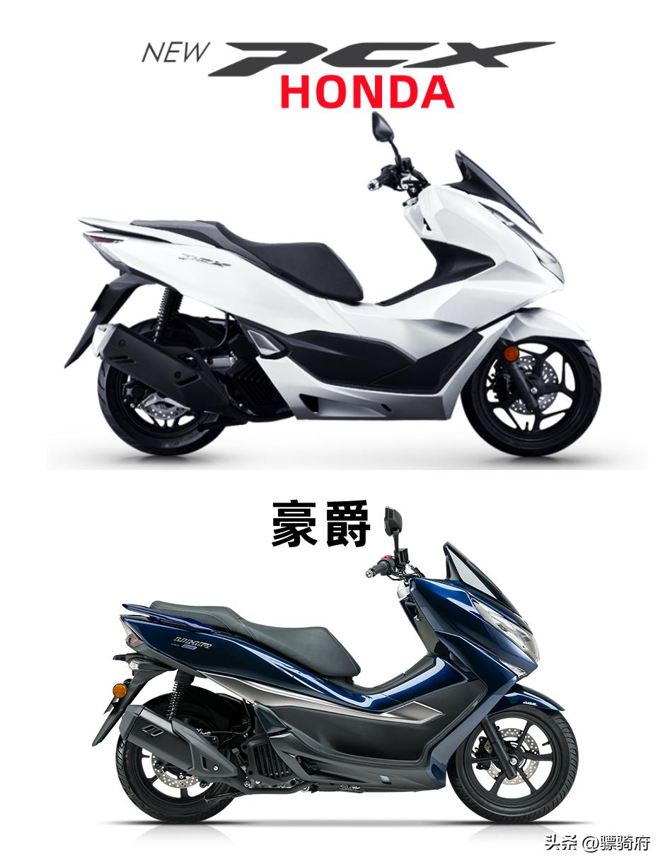 山中无老虎猴子称霸王对应的句子,山中无老虎猴子称霸王相关语句