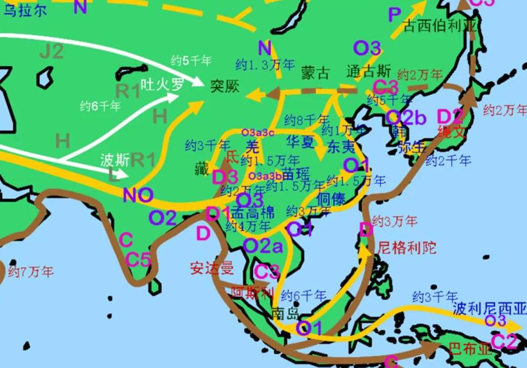 中国人祖先从哪来,中国人的祖先从哪来