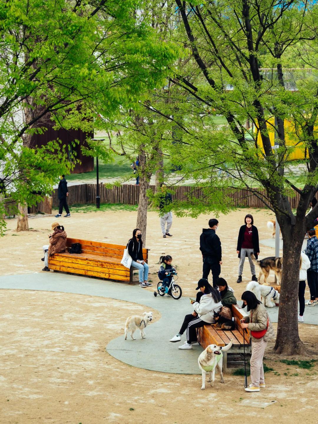 魔都宠物天地,魔都周边宠物友好景区