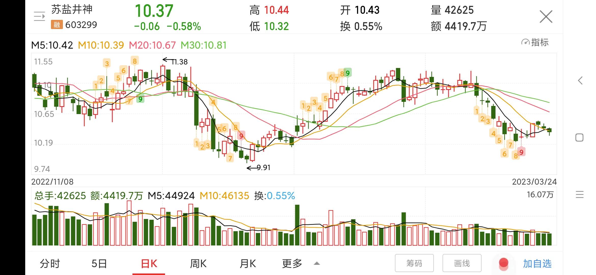 603299苏盐井神股票目标价,每日一股600596