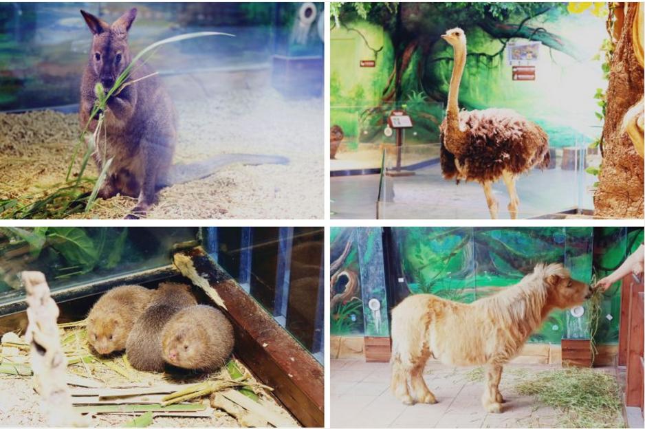 300亩主题农场,300亩农场年入千万