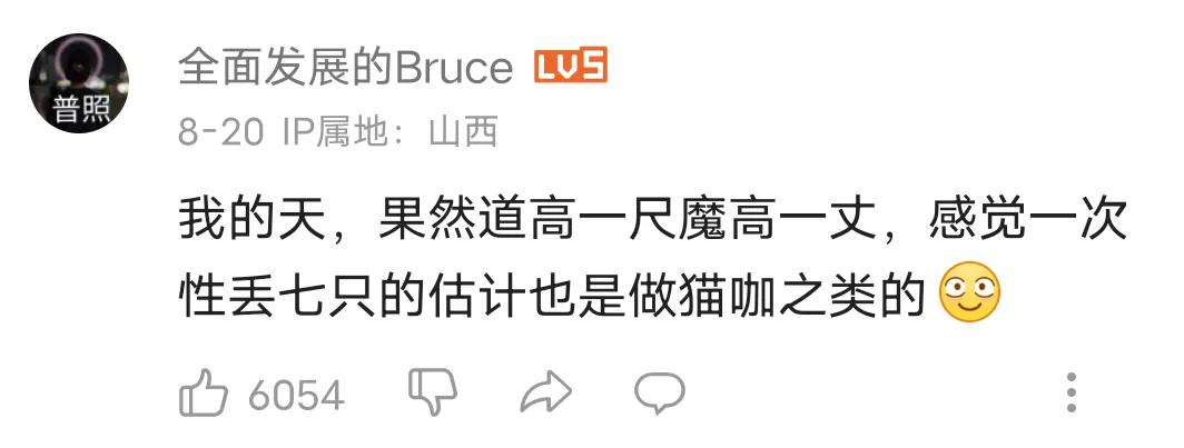 猫德学校为什么要抓猫,猫德学院三年绑架700多只流浪猫