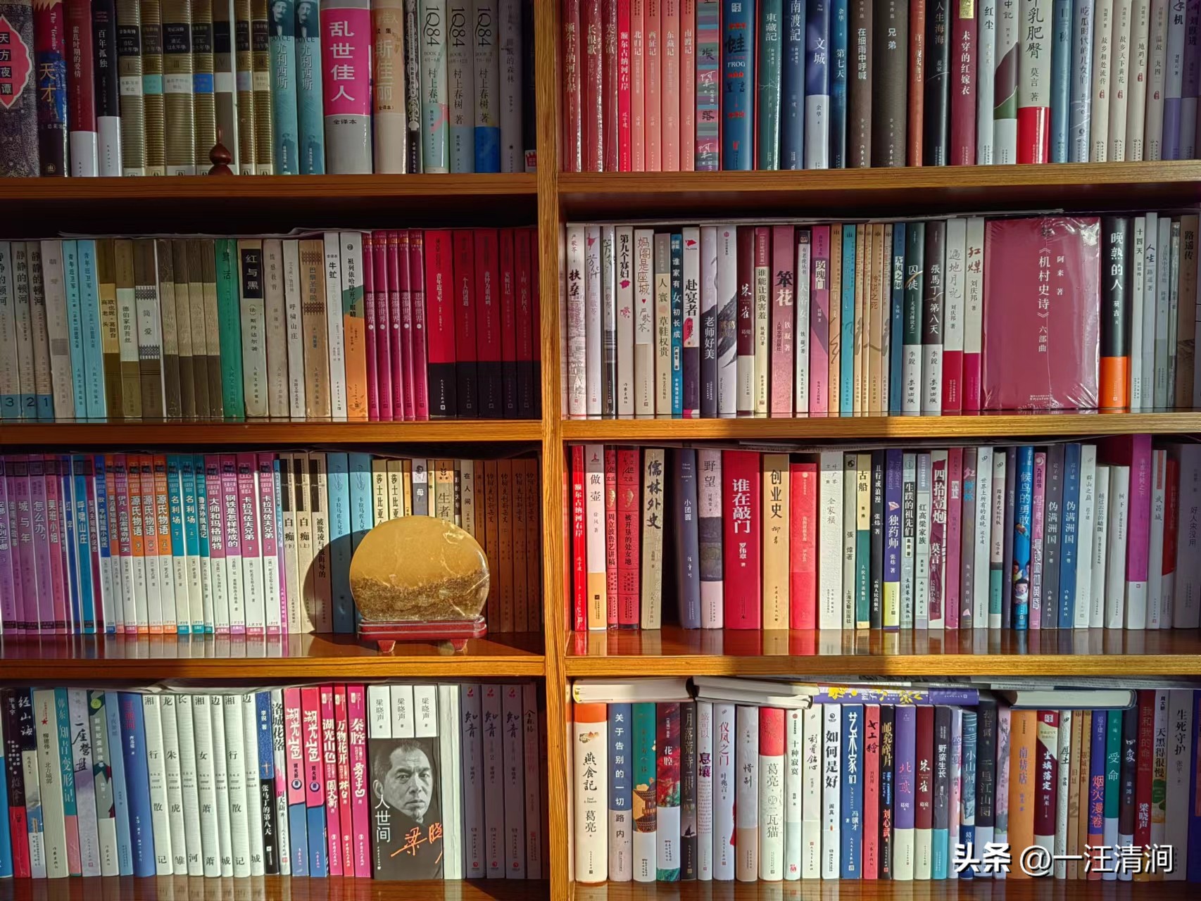 购书记录,购书记录表