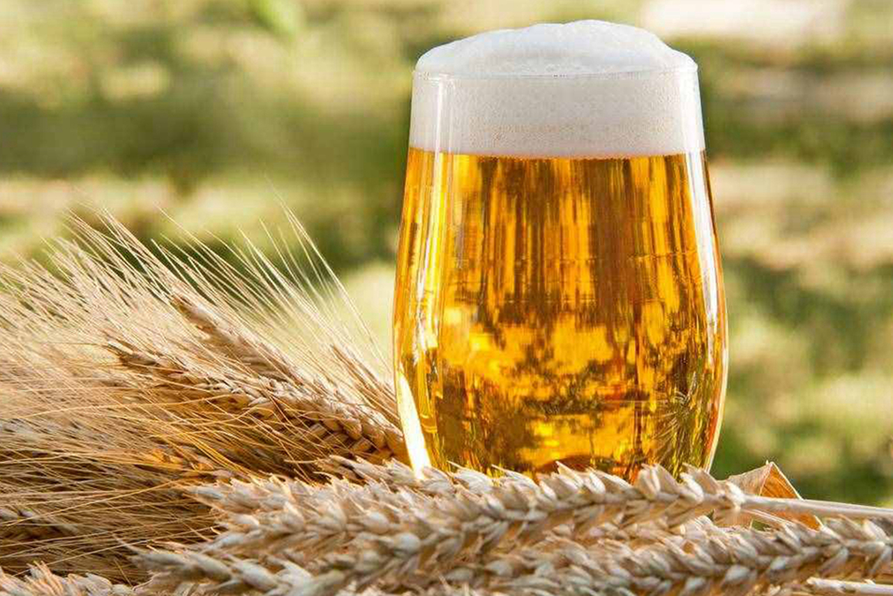 啤酒配料看好坏,啤酒配料怎么看才是好啤酒