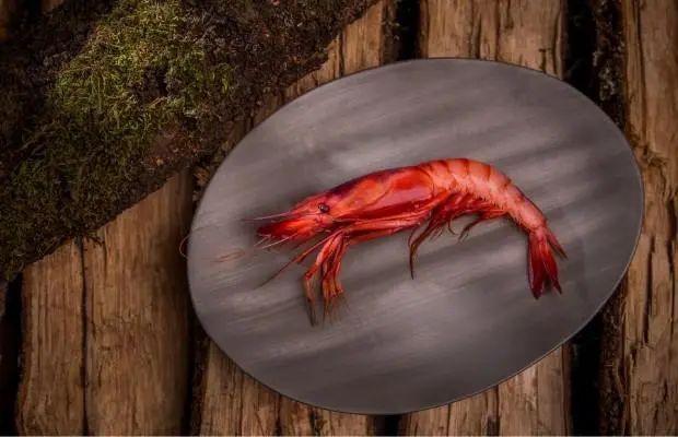 西班牙直火烹饪大师VictorArguinzoniz：引领烧烤走向新高度