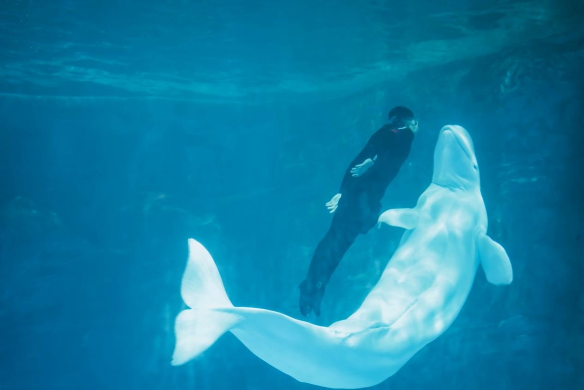 炎炎夏日，踏浪而来，赶赴一场和海南的约“惠”