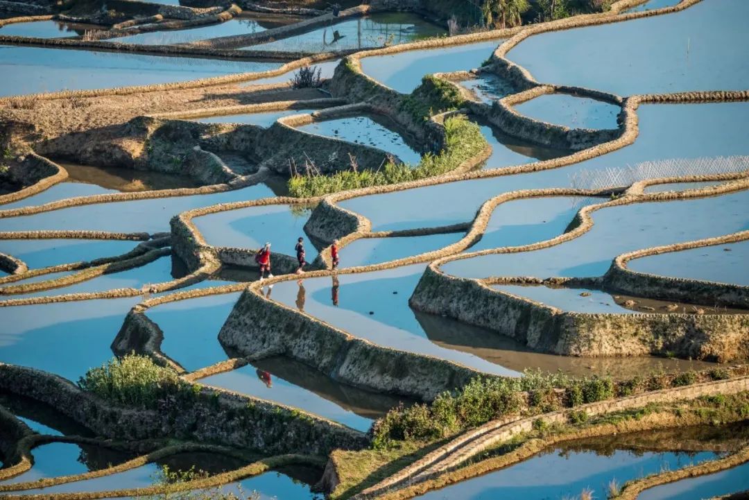 三月机票最便宜性价比最高的旅游,机票最便宜的旅游地7月