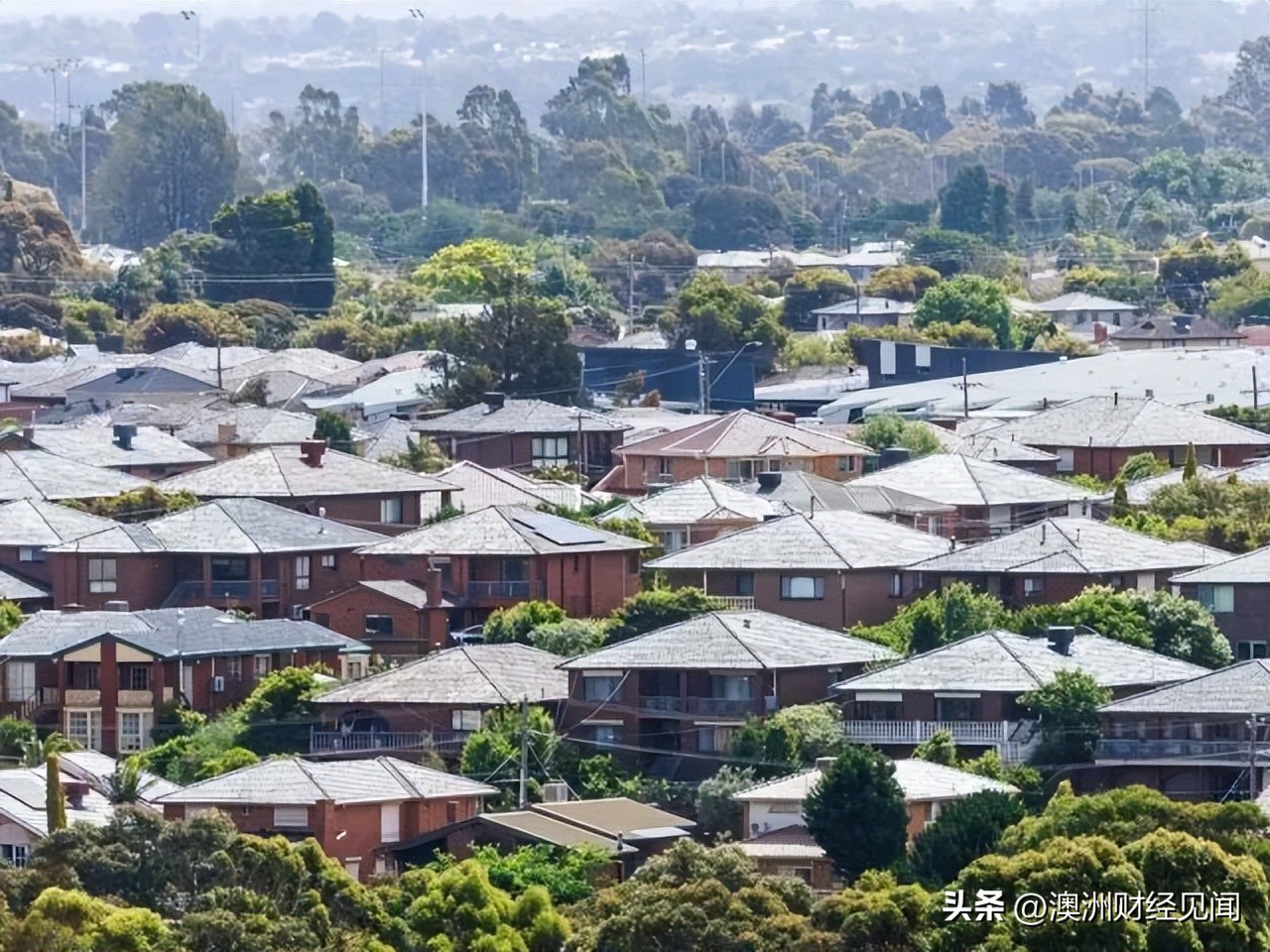 难以置信！在墨尔本，印度人购房能力已赶超华人？