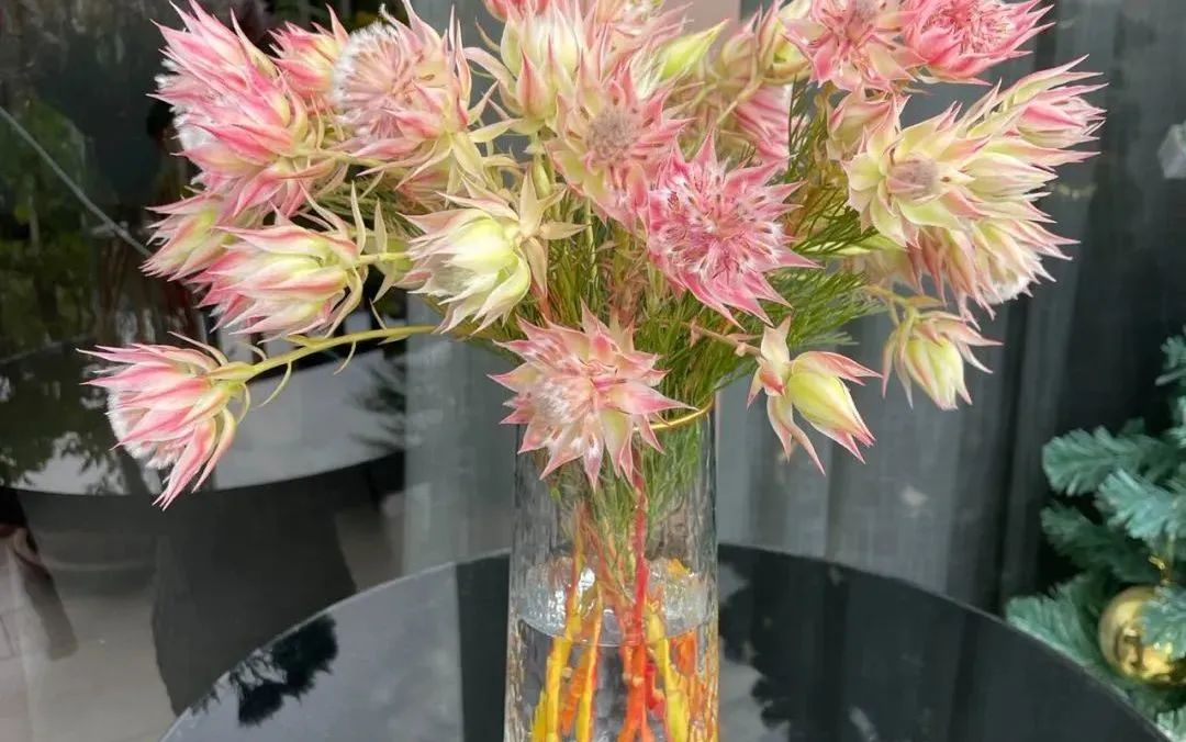 新手必看鲜花养护攻略,鲜花在水里能养几天会死