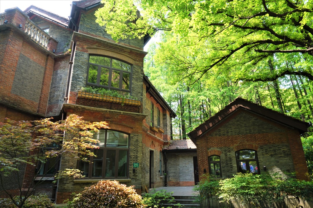 深度解析上海理工大学,上海理工大学小吗