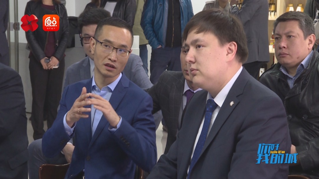 你好我的城,你好我的城在线观看