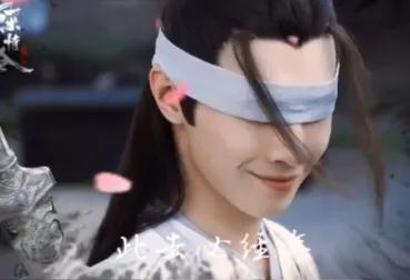 陈情令意难平cp,陈情令温情魏无羡cp